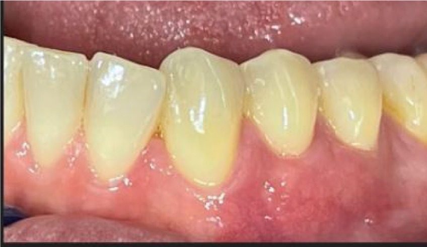 WhatsApp-Image-2022-07-25-at-7.21.39-PM-1